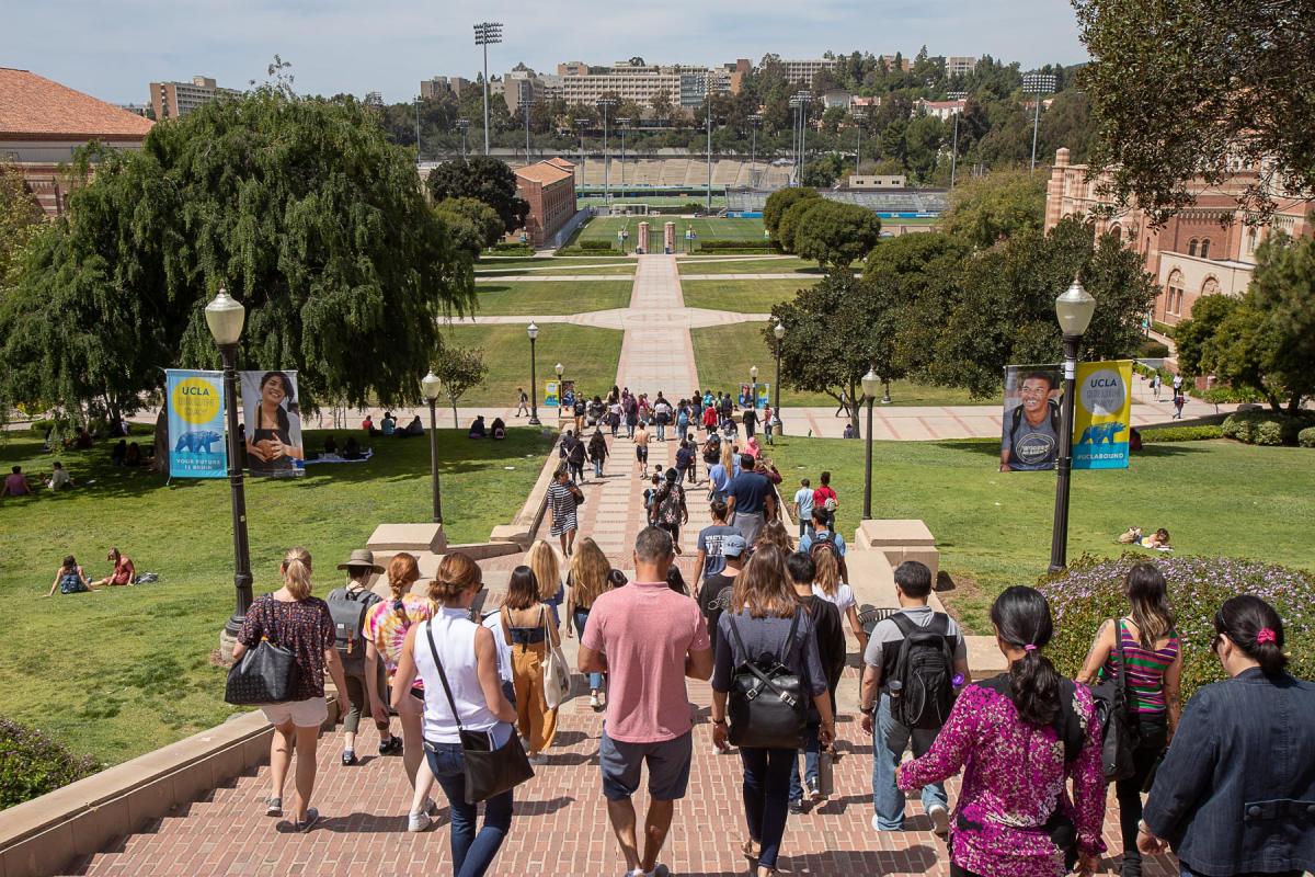 Unveiling the Vibrant Party Scene at UCLA: A Closer Look