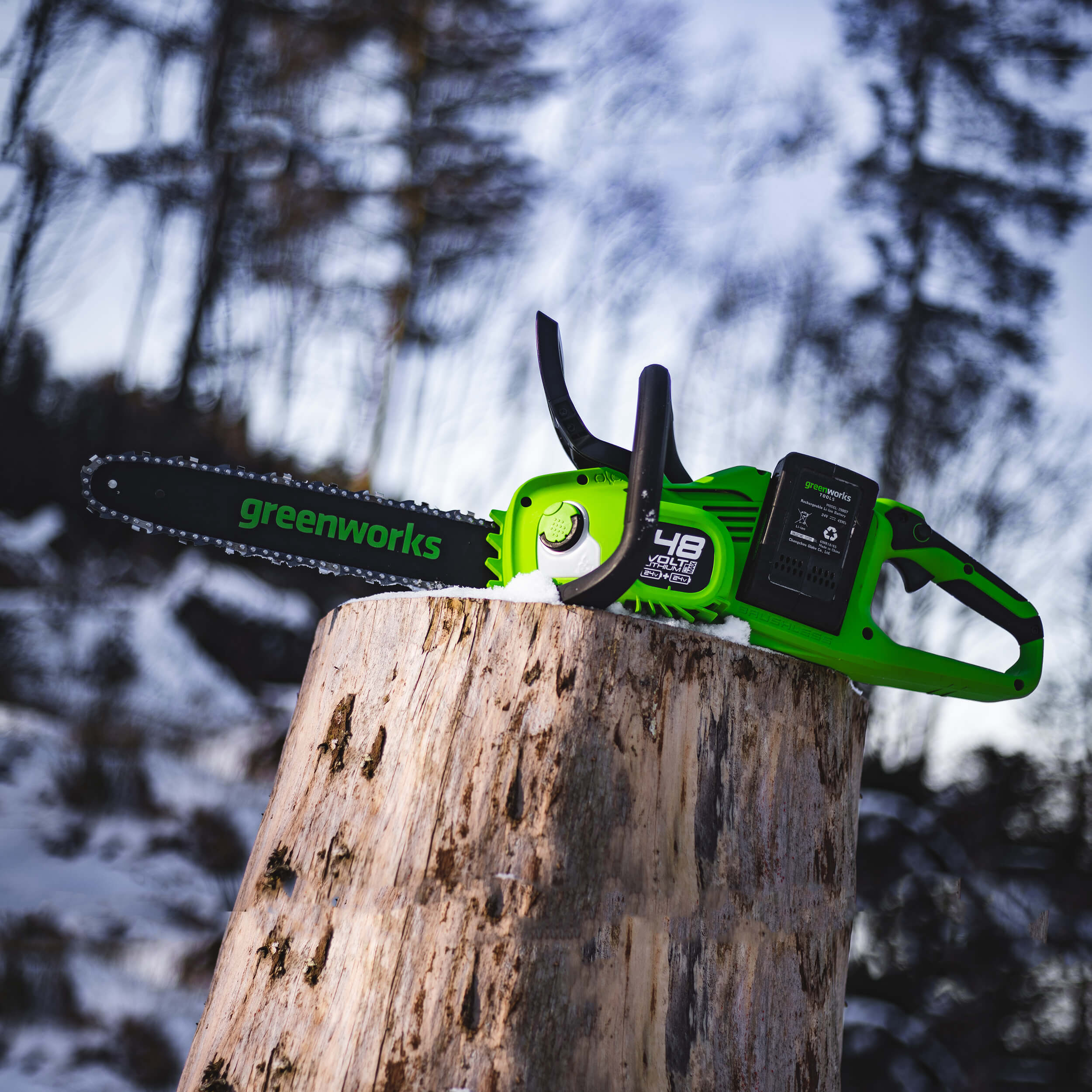 What Chainsaw Do Professionals Use